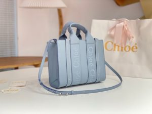끌로에 우디백 미니 CHC22WS397I60247-4