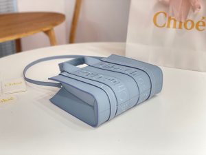 끌로에 우디백 미니 CHC22WS397I60247-4