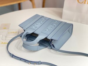 끌로에 우디백 미니 CHC22WS397I60247-4 - 이미지 5