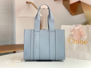 끌로에 우디백 미디엄 CHC22WS383I6026X-4
