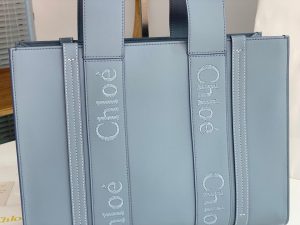 끌로에 우디백 미디엄 CHC22WS383I6026X-4