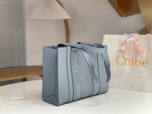 끌로에 우디백 미디엄 CHC22WS383I6026X-4