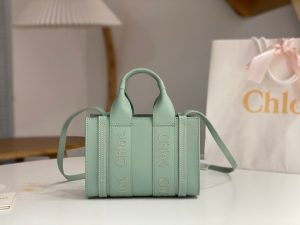 끌로에 우디백 미니 CHC22AP237I26-5