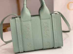 끌로에 우디백 미니 CHC22AP237I26-5