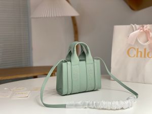 끌로에 우디백 미니 CHC22AP237I26-5