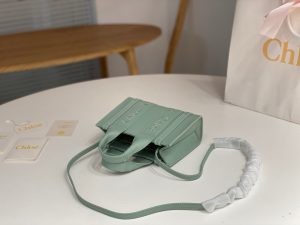끌로에 우디백 미니 CHC22AP237I26-5 - 이미지 3