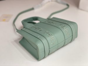 끌로에 우디백 미니 CHC22AP237I26-5 - 이미지 7