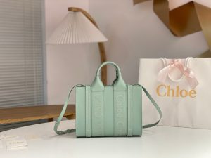 끌로에 우디백 미니 CHC22WS397I60247-5