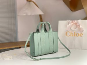 끌로에 우디백 스몰 CHC22WS397I60247-5 - 이미지 6