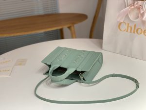 끌로에 우디백 미니 CHC22WS397I60247-5