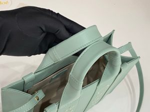 끌로에 우디백 스몰 CHC22WS397I60247-5 - 이미지 3