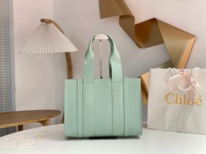 끌로에 우디백 미디엄 CHC22WS383I6026X-5