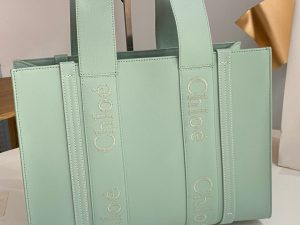 끌로에 우디백 미디엄 CHC22WS383I6026X-5