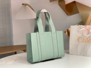 끌로에 우디백 미디엄 CHC22WS383I6026X-5 - 이미지 5