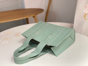 끌로에 우디백 미디엄 CHC22WS383I6026X-5