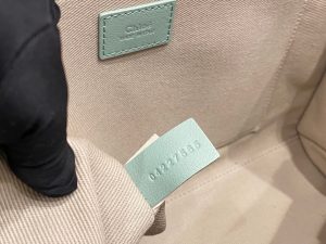 끌로에 우디백 미디엄 CHC22WS383I6026X-5 - 이미지 9
