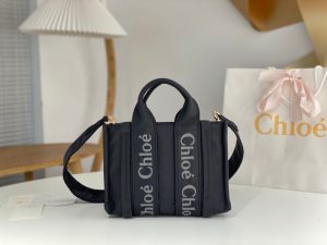 끌로에 우디백 스몰 WS383