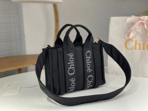 끌로에 우디백 스몰 WS383