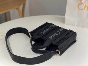 끌로에 우디백 스몰 WS383