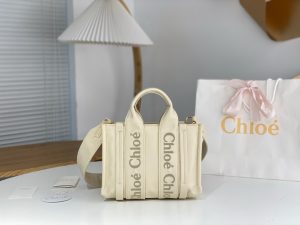 끌로에 우디백 스몰 WS383-3