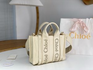 끌로에 우디백 스몰 WS383-3