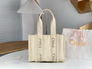 끌로에 우디백 미디엄 WS384-3