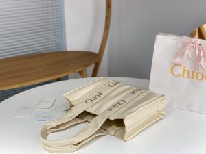 끌로에 우디백 미디엄 WS384-3