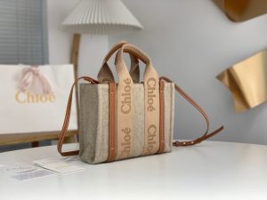 끌로에 우디백 스몰 W0123-3