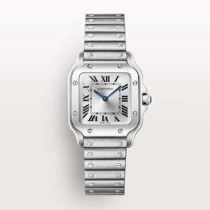 Cartier Santos Ladies 28mm W20056D6 Quartz Silver