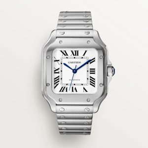 Cartier Santos de Cartier Men Automatic WSSA0029 M
