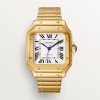 Cartier Santos de Cartier Men Automatic Gold WGSA0030