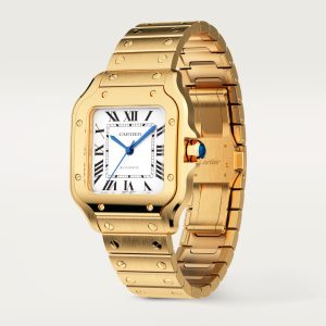 Cartier Santos de Cartier Men Automatic Gold WGSA0030